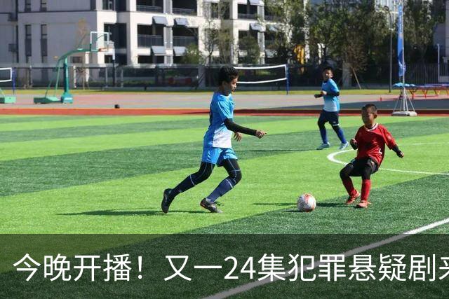 今晚开播！又一24集犯罪悬疑剧来袭，演员阵容不错，值得期待！